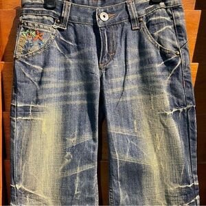 Lolita Floral Embroidered Denim